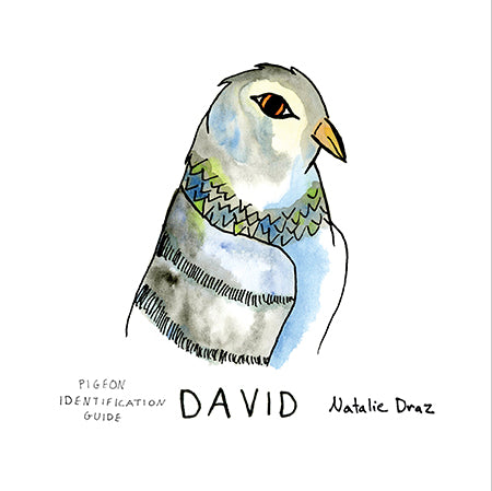 David the Pigeon - MAGNET