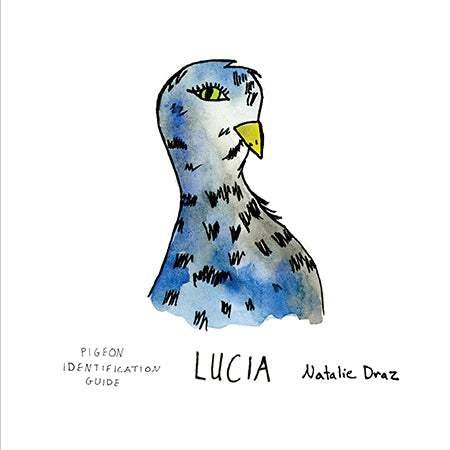 Lucia the Pigeon - MAGNET