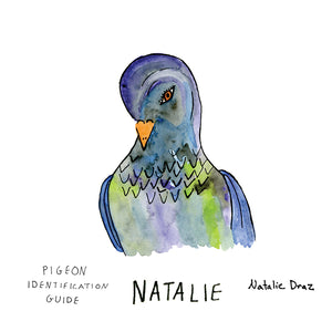 Natalie the Pigeon - MAGNET