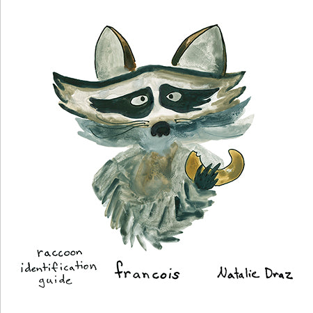 Francois the Raccoon - MAGNET