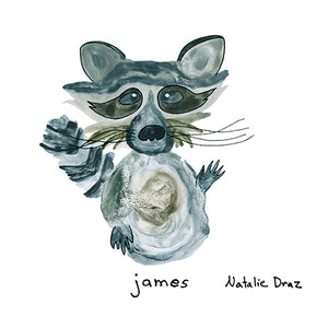 James the Raccoon - MAGNET