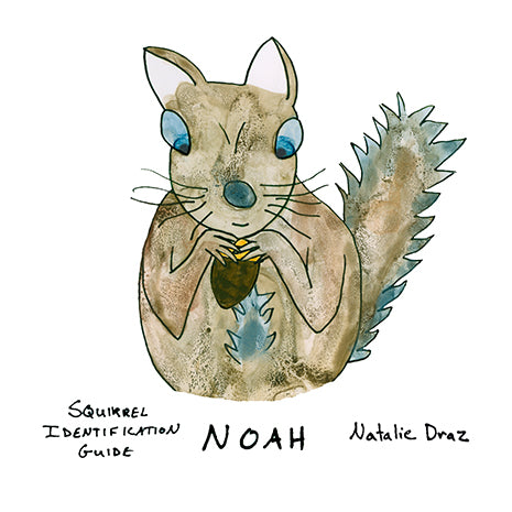 Noah the Brown Squirrel - MAGNET