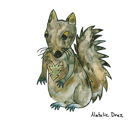 Brown Squirrel - ART PRINT