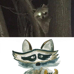 Francois the Raccoon - MAGNET